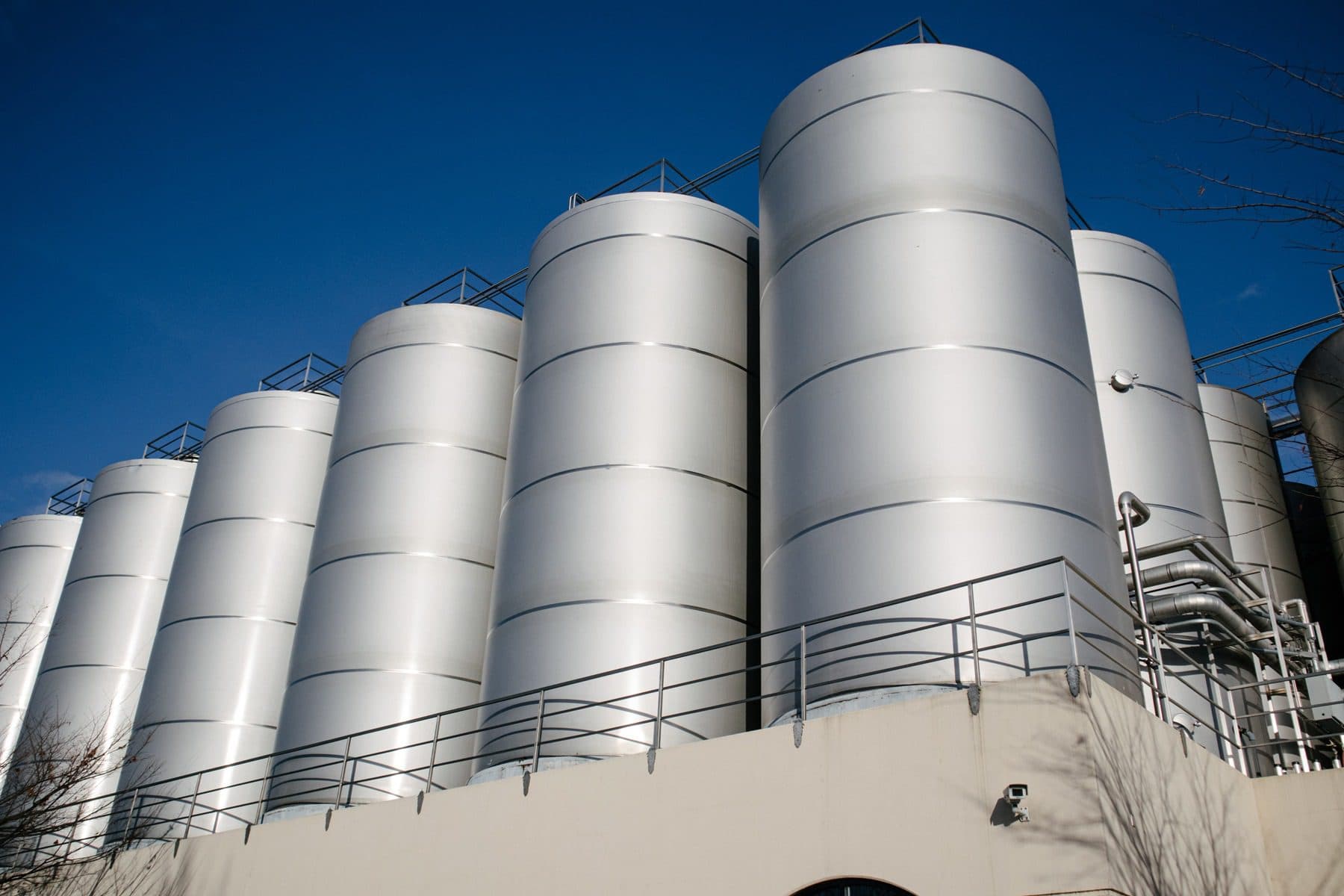 A wall of sample malts at Admiral Maltings in Alameda, California