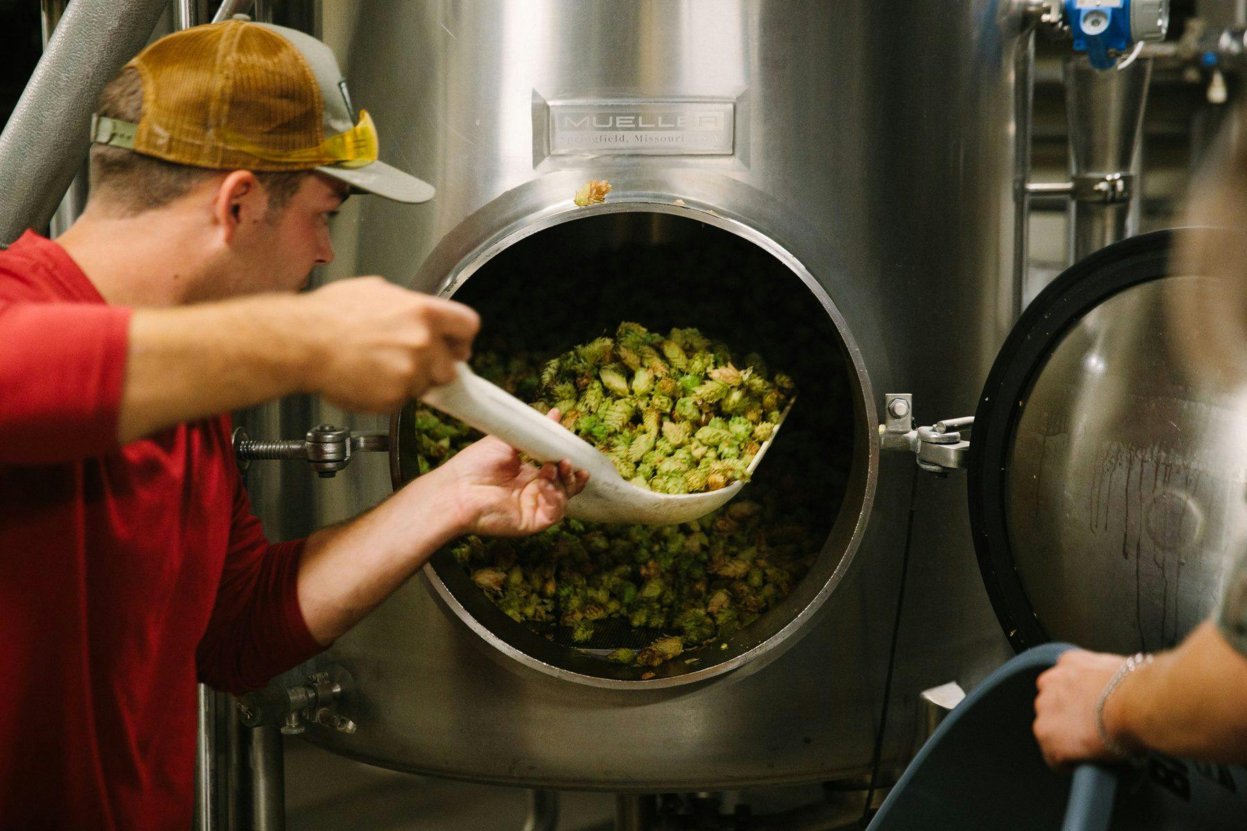 Shoveling hops into a brewing vessel