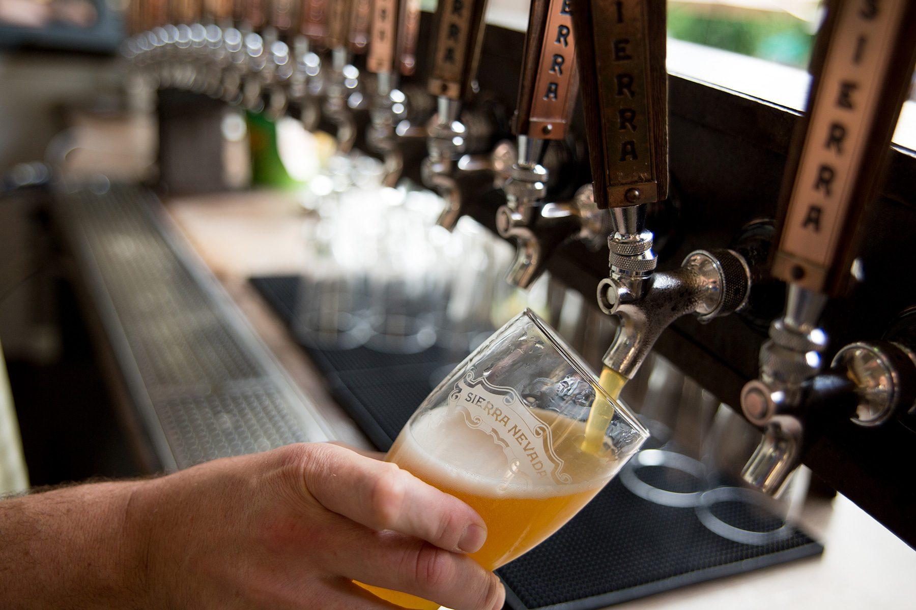 Bartender's hand pouring a Sierra Nevada beer