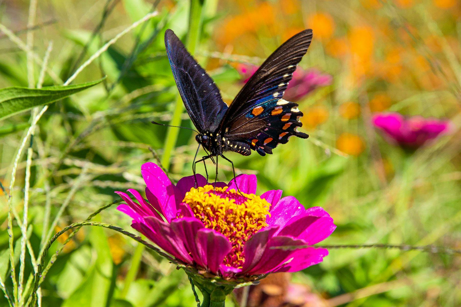 Sustainability Tour - California